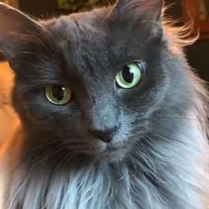 Meet your Posher, Nikki